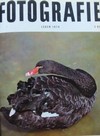 �eskoslovensk� fotografie